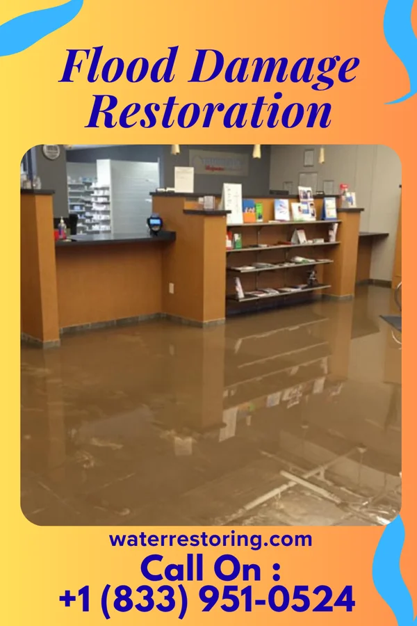 Flood Damage Restoration in Wasta, SD