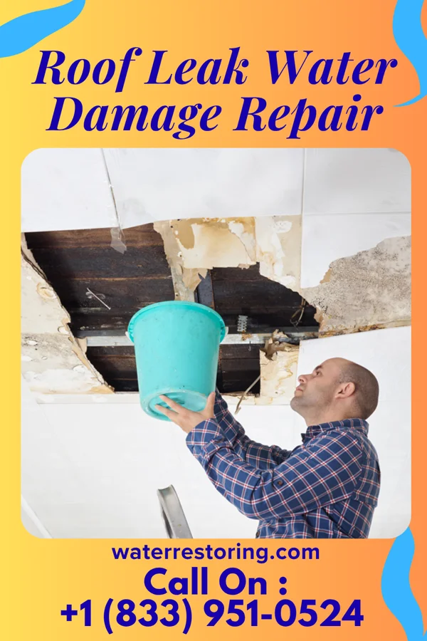 Roof Leak Water Damage Repair in Wasta, SD