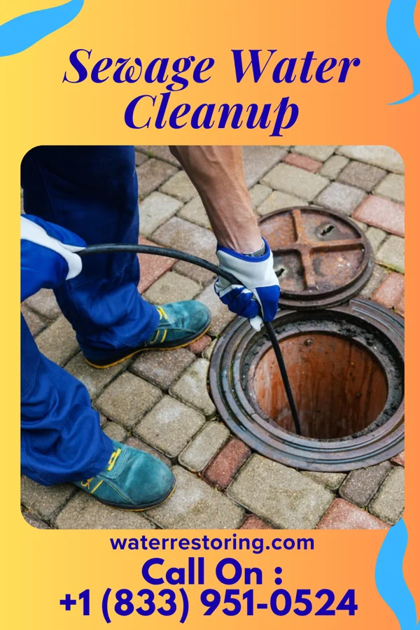 Sewage Water Cleanup in Wasta, SD